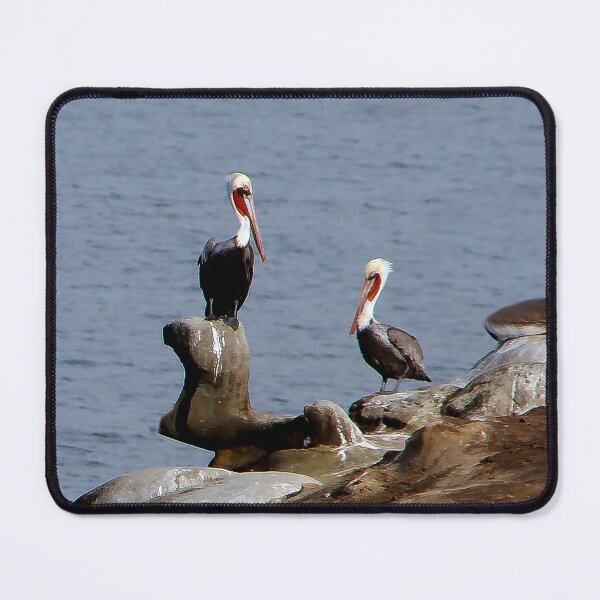Item preview, San Diego Pelicans, Just Hanging Out! designed and sold by heatherfriedman.