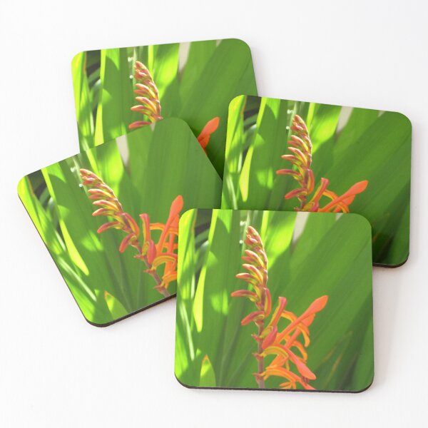 Item preview, Vibrant Orange Crocosmia Ready for Spring designed and sold by JoyousArt4u.