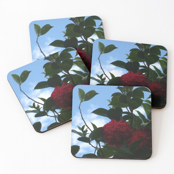 Item preview, Red, Ruffled Camellias Emerging from Shadow with Blue Sky designed and sold by JoyousArt4u.