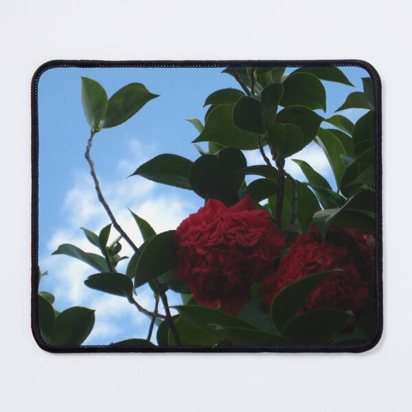 Item preview, Red, Ruffled Camellias Emerging from Shadow with Blue Sky designed and sold by JoyousArt4u.