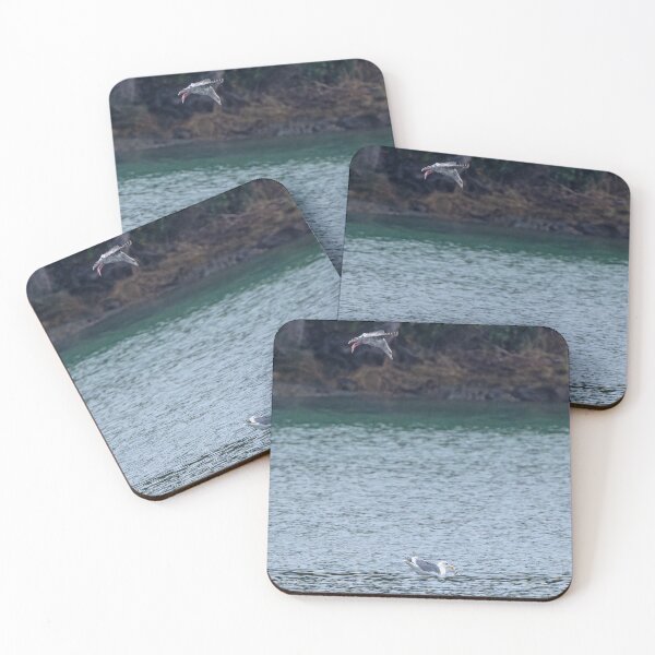 Item preview, Glaucous Wing Gull competes for food designed and sold by lisavonbiela.