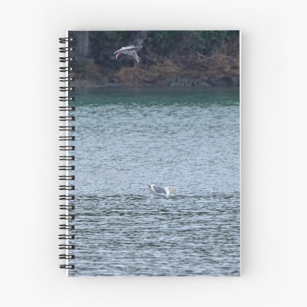 Item preview, Glaucous Wing Gull competes for food designed and sold by lisavonbiela.