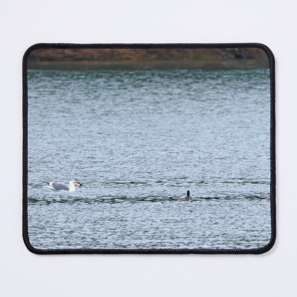 Item preview, Glaucous Wing Gull holding shell of small crab designed and sold by lisavonbiela.