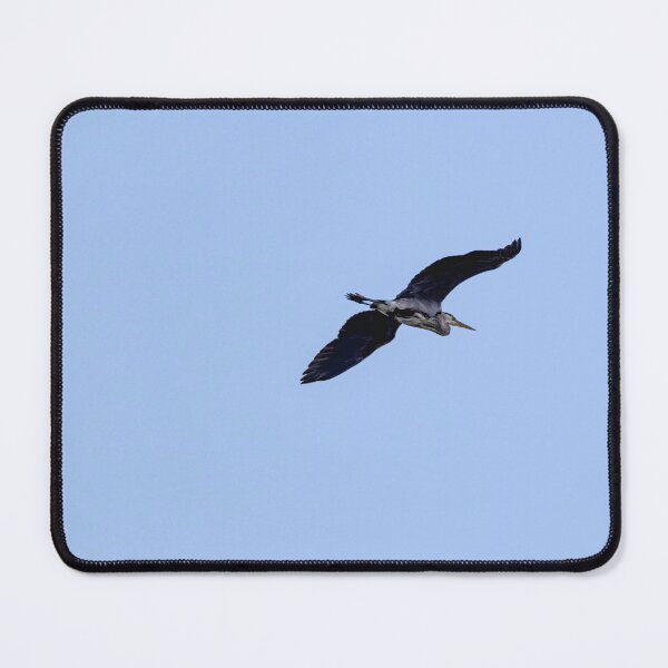 Item preview, Great Blue Heron in flight against cloudless blue sky designed and sold by lisavonbiela.
