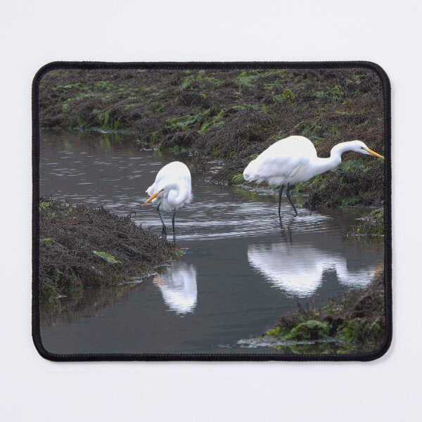 Item preview, Two Great Egrets walking in stream with reflections designed and sold by lisavonbiela.