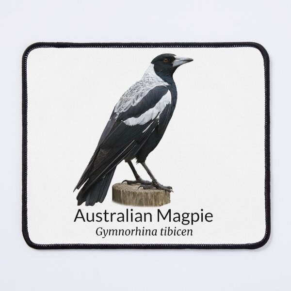 Item preview, Australian Magpie with Scientific Name designed and sold by Barry Callister Photography.