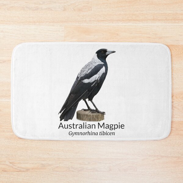 Item preview, Australian Magpie with Scientific Name designed and sold by Barry Callister Photography.