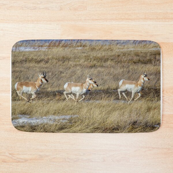 Item preview, Prairie Sprinters! designed and sold by James (820Photography) Anderson.