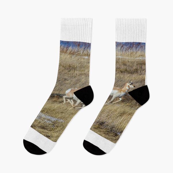 Item preview, Prairie Sprinters! designed and sold by James (820Photography) Anderson.