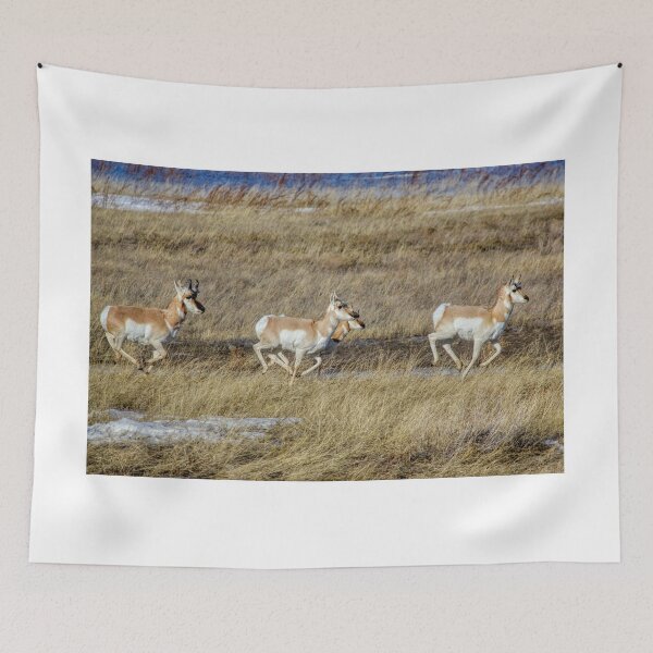 Item preview, Prairie Sprinters! designed and sold by James (820Photography) Anderson.