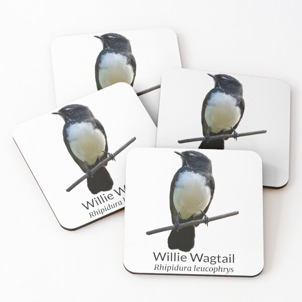 Item preview, Willie Wagtail Australian Bird with Scientific Name designed and sold by Barry Callister Photography.