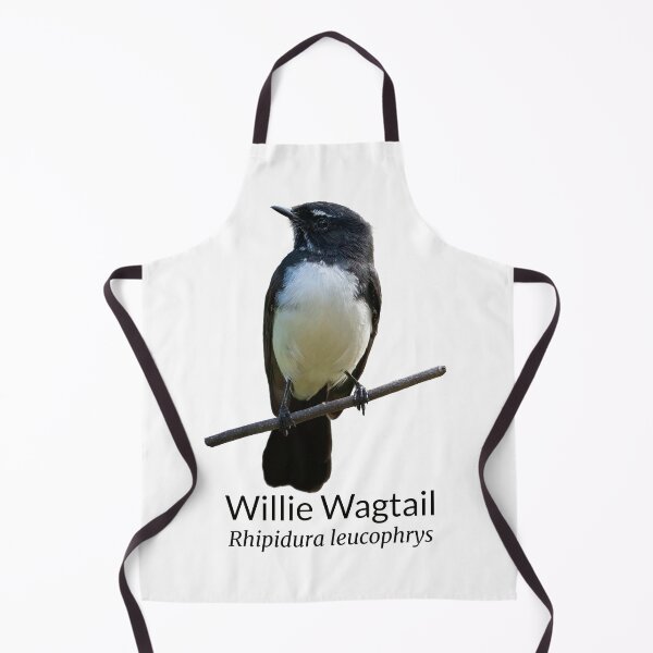 Item preview, Willie Wagtail Australian Bird with Scientific Name designed and sold by Barry Callister Photography.