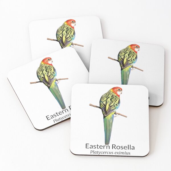 Item preview, Eastern Rosella with Scientific Name designed and sold by Barry Callister Photography.