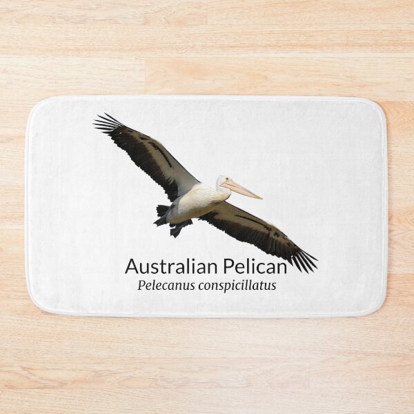 Item preview, Australian Pelican with Scientific Name designed and sold by Barry Callister Photography.
