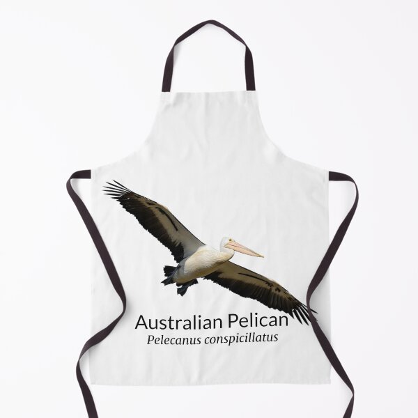 Item preview, Australian Pelican with Scientific Name designed and sold by Barry Callister Photography.