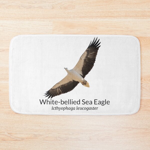 Item preview, White-bellied Sea Eagle with Scientific Name designed and sold by Barry Callister Photography.