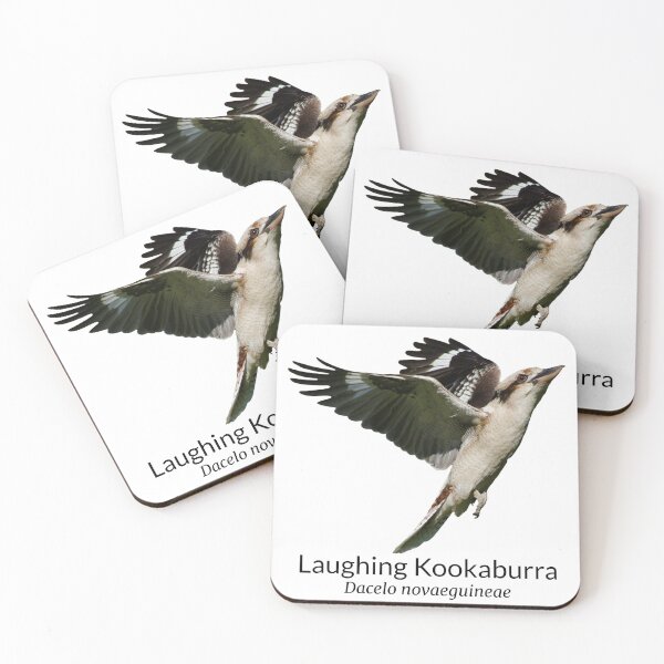 Item preview, Laughing Kookaburra Australian Bird with Scientific Name designed and sold by Barry Callister Photography.