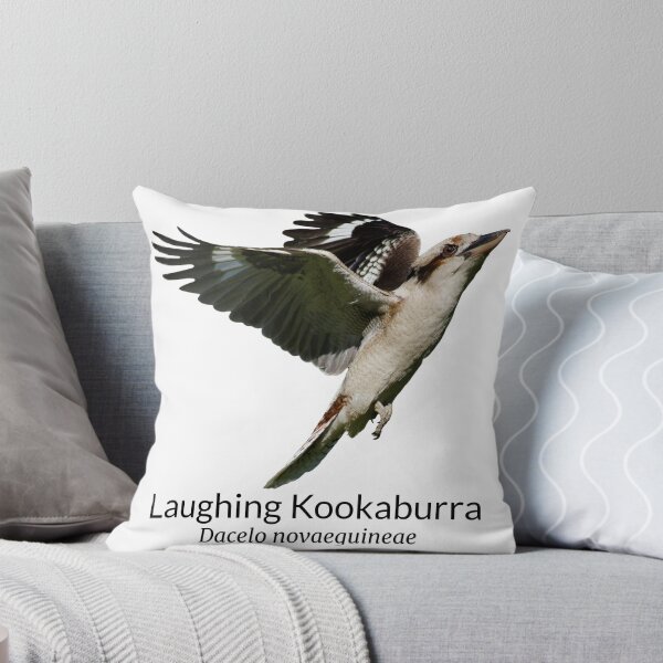 Aperçu de l'œuvre Le kookaburra rieur, oiseau australien, avec son nom scientifique créée et vendue par Barry Callister Photography.