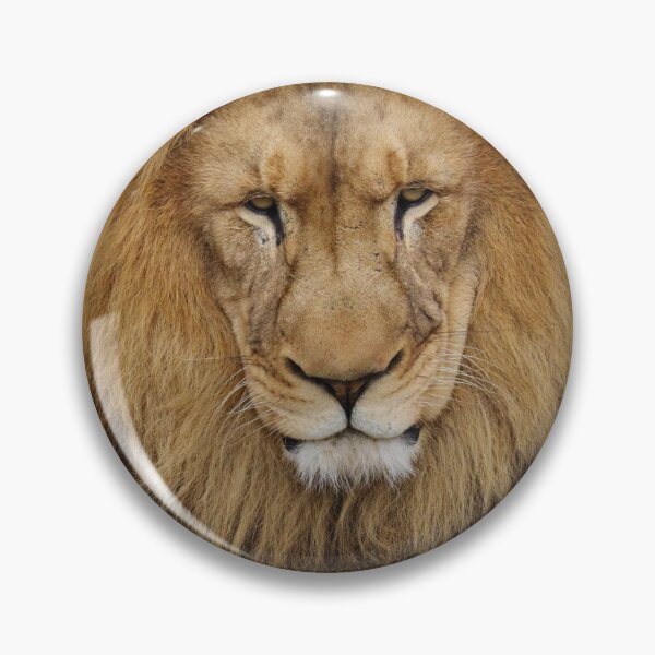 Item preview, The King at Rest designed and sold by LauraMK.