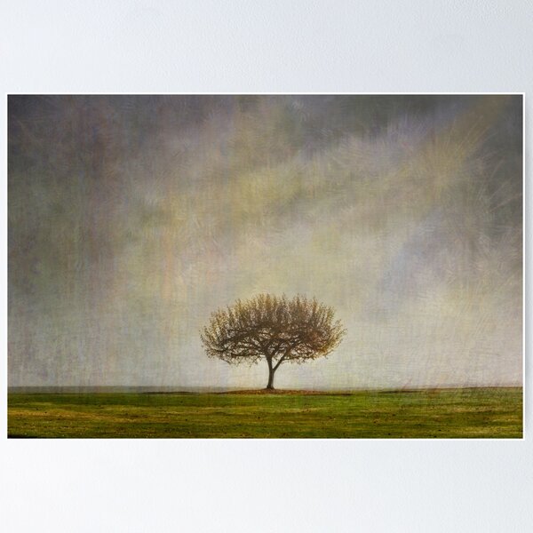 Aperçu de l'œuvre Lone Cherry Tree créée et vendue par Helen K. Passey.