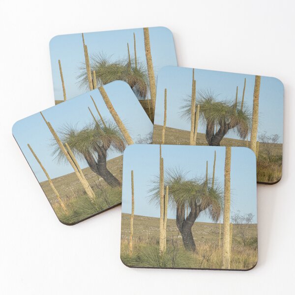 Item preview, Grass trees with flower spikes designed and sold by Windswell.