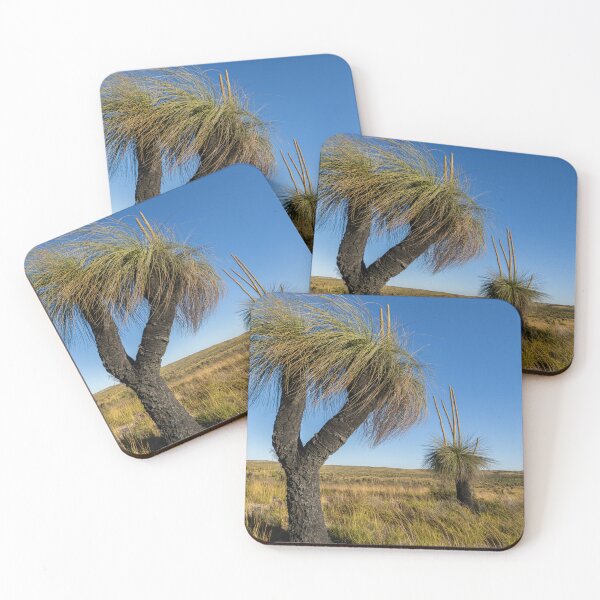 Item preview, Two grass trees with flower spikes designed and sold by Windswell.
