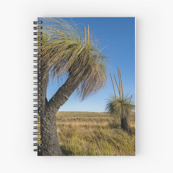 Item preview, Two grass trees with flower spikes designed and sold by Windswell.