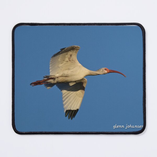Item preview, Ibis designed and sold by Glennphotos.