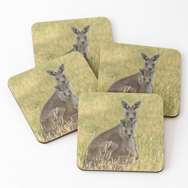 Item preview, Mother Kangaroo and Joey in Dry Grass designed and sold by Barry Callister Photography.