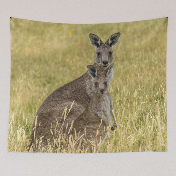 Item preview, Mother Kangaroo and Joey in Dry Grass designed and sold by Barry Callister Photography.