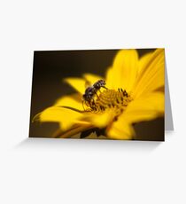 The Gatherer Greeting Card