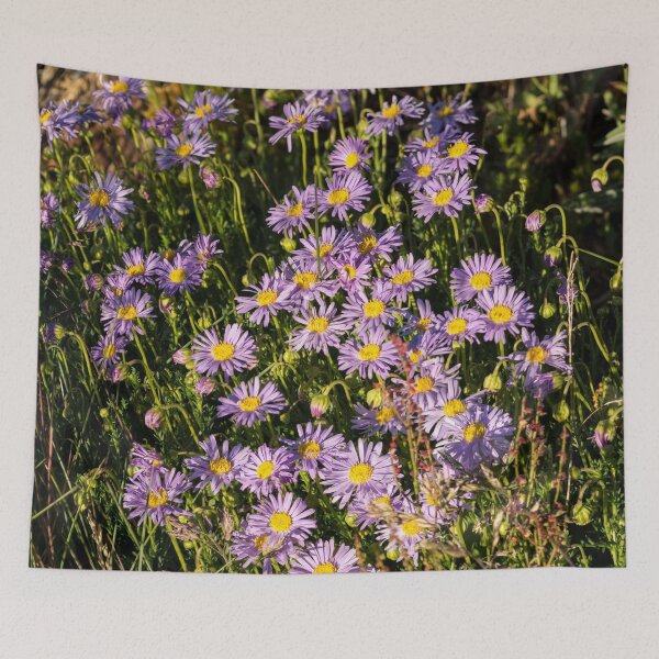 Item preview, Bright Pink Alpine Aster Flower Cluster designed and sold by Barry Callister Photography.