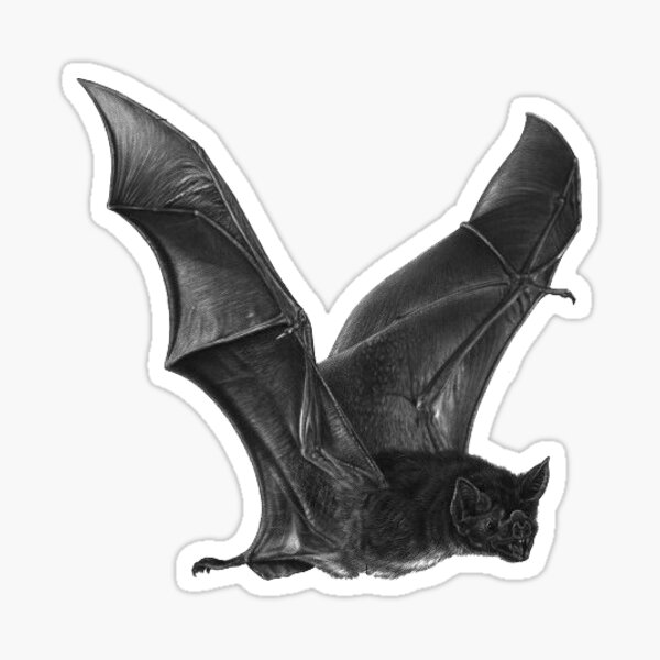 FLYING VAMPIRE BAT Sticker