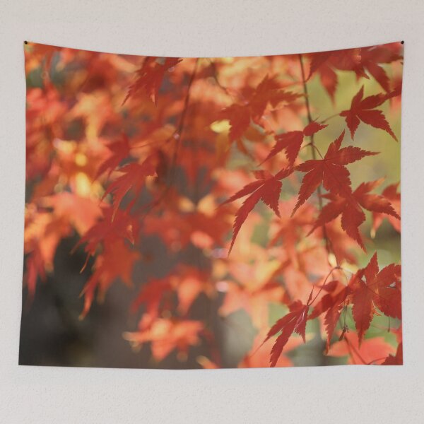 Item preview, red maple designed and sold by MariannaPhotos.