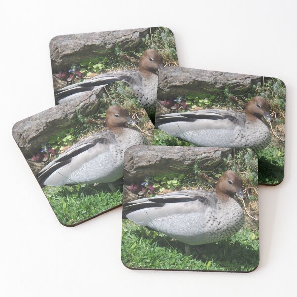 Item preview, Australian Wood Duck in Tranquil Garden designed and sold by Yolanda Caporn Art.