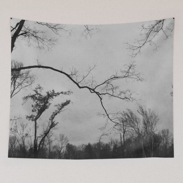 Item preview, Black Bosk X - Melancholy Tree Silhouette Photograph designed and sold by Irene Estelle.