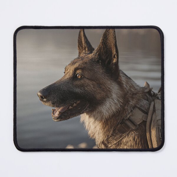 Item preview, Tactical Canine Patrol designed and sold by Skyframe Aviation.