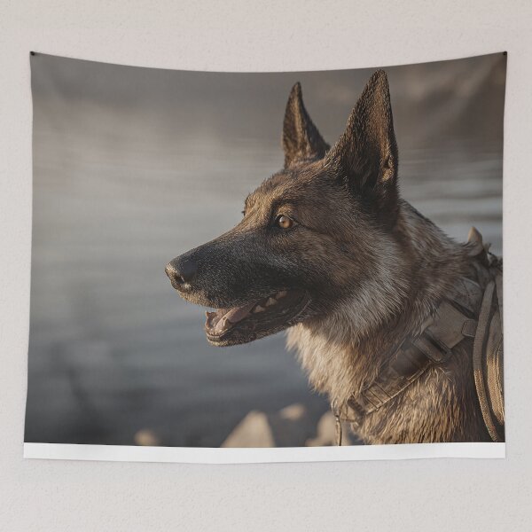 Item preview, Tactical Canine Patrol designed and sold by Skyframe Aviation.