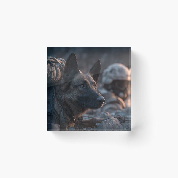 Item preview, Frontline K9 Heroes designed and sold by Skyframe Aviation.
