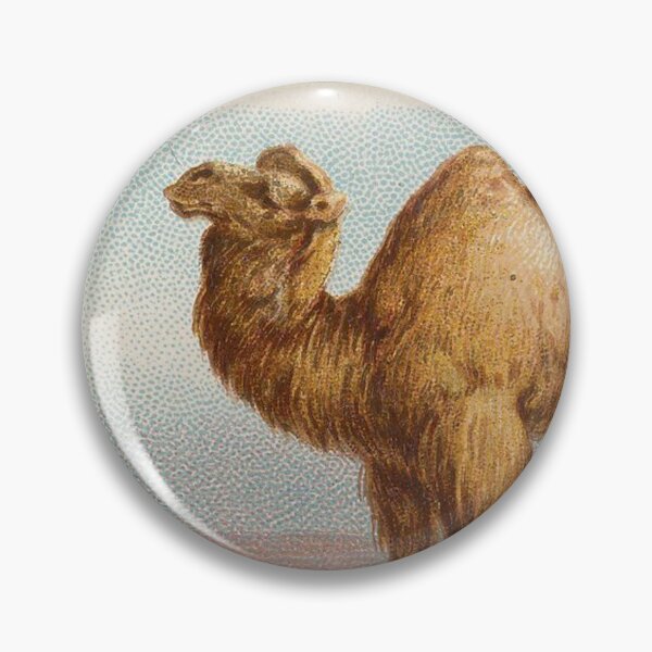 Item preview, Vintage Camel Illustration  designed and sold by AnimaliaStar.