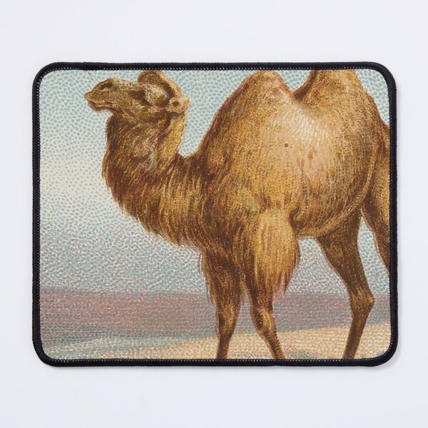 Item preview, Vintage Camel Illustration  designed and sold by AnimaliaStar.