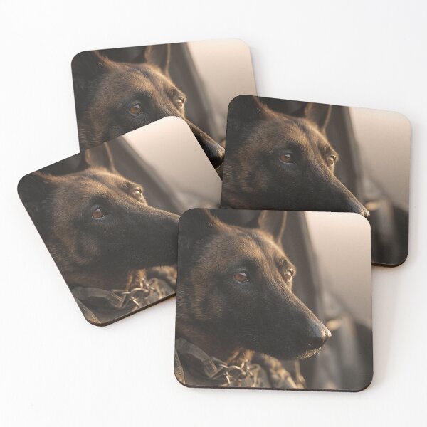 Item preview, Tactical Dog Operations designed and sold by Skyframe Aviation.