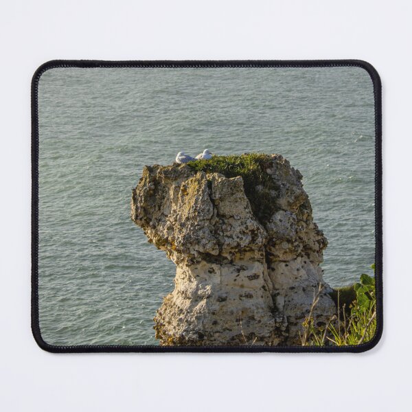 Item preview, The Rest of the Seagulls on the Cliff 2 designed and sold by Léa Lefebvre Photography.