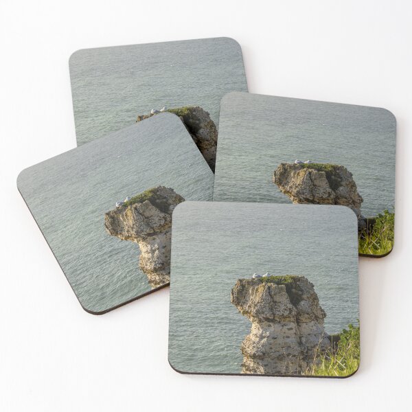 Item preview, The Rest of the Seagulls on the Cliff 2 designed and sold by Léa Lefebvre Photography.