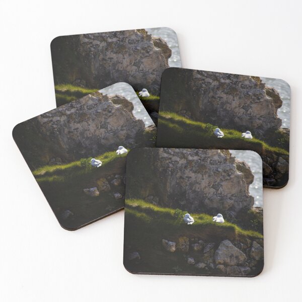 Item preview, The Rest of the Seagulls on the Cliff 3 designed and sold by Léa Lefebvre Photography.