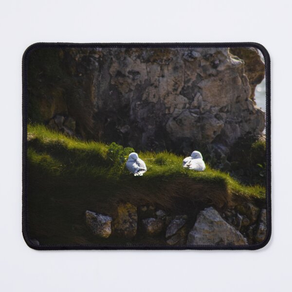 Item preview, The Rest of the Seagulls on the Cliff 3 designed and sold by Léa Lefebvre Photography.