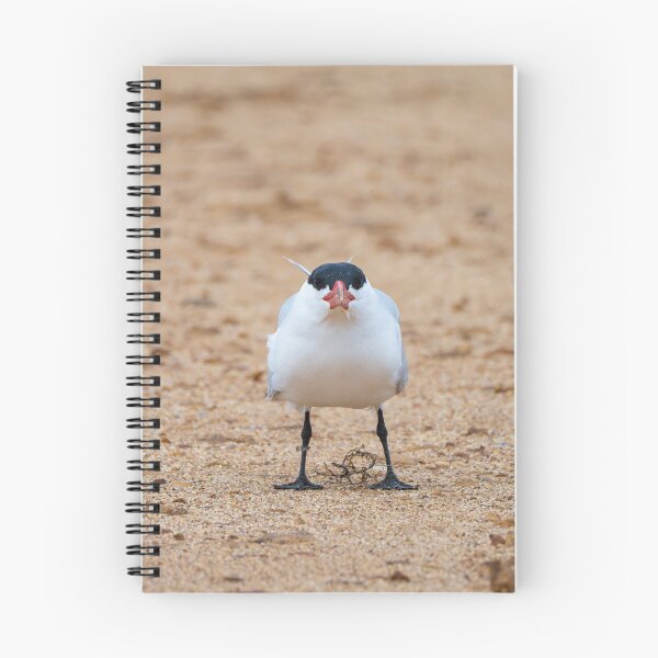 Item preview, Caspian Tern designed and sold by Windswell.