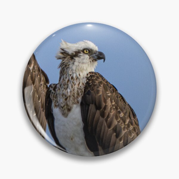 Item preview, Twin osprey on power pole, close-up designed and sold by Windswell.