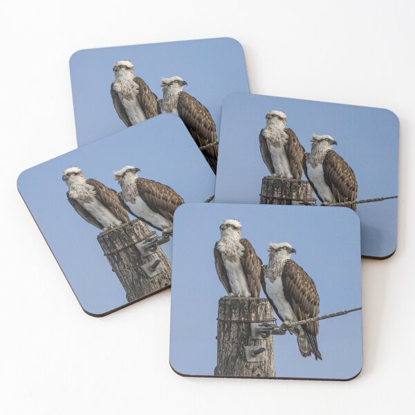 Item preview, Twin osprey on power pole, close-up designed and sold by Windswell.