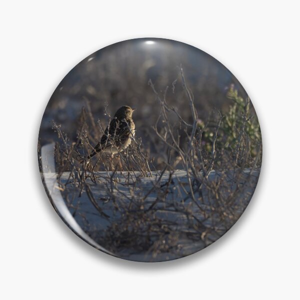 Item preview, Small bird regarding sunset designed and sold by Windswell.